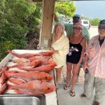 Several red snapper caught on a fishing charter